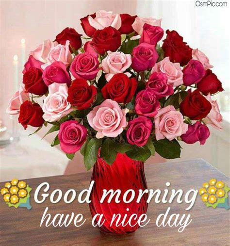 images of good morning with roses|beautiful morning roses.